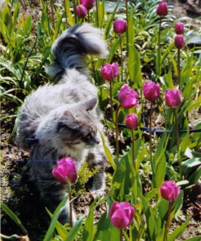 Hurricane mit 1 Jahr / Hurricane 1 year old