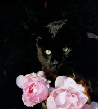 Hypnos mit 1 Jahr und 6 Monaten/ Hypnos 1 year and 6 months old