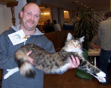 Harlekin mit neun Monaten /Harlekin being nine months old