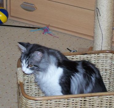 Isildur mit 7 Monaten