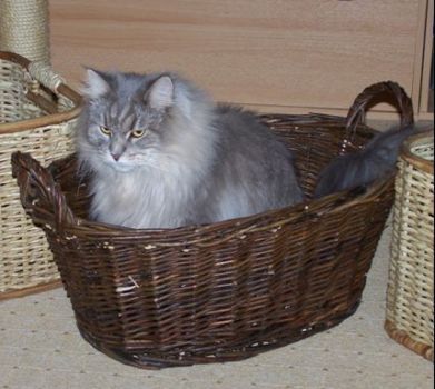 D'Artannette mit 2 Jahren