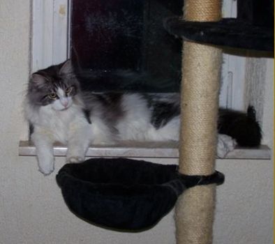 Isildur mit 8 Monaten