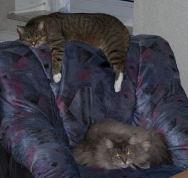 D'Artannette mit 2 Jahren und Leo