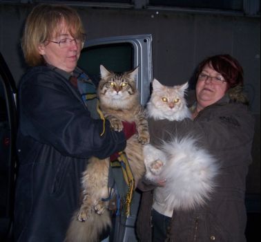 Jordan und Lulius mit 8,5 Monaten / eight and a half months old