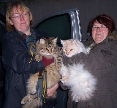 Jordan und Julius 8,5  Monaten / eight and a half months old