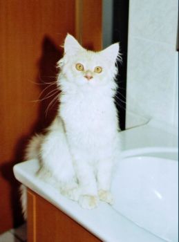 Julius mit 2 Monaten / 2 months old