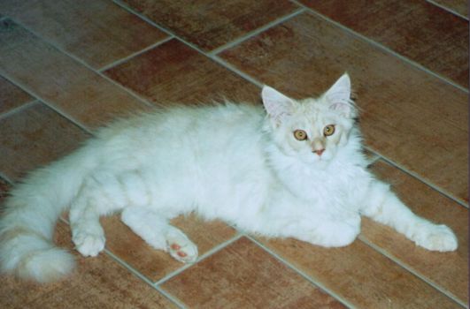 Julius mit 4 Monaten / 4 months old