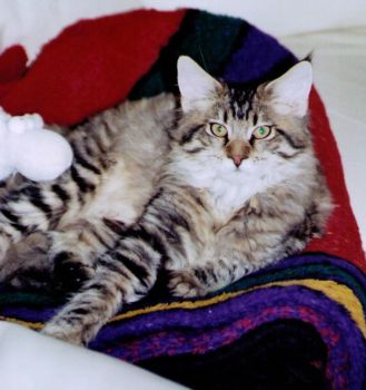 Jordan mit 2 Monaten