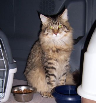 Jordan mit 8,5 Monaten / eight and a half months old