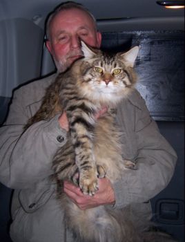 Jordan mit 8,5 Monaten / eight and a half months old