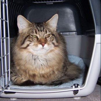 Jordan mit 8,5 Monaten / eight and a half months old