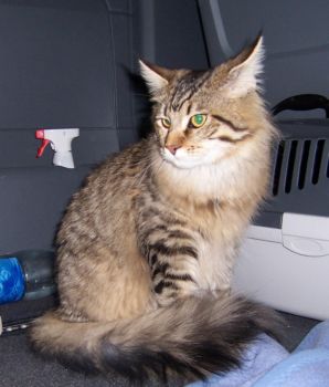 Jordan mit 8,5 Monaten / eight and a half months old