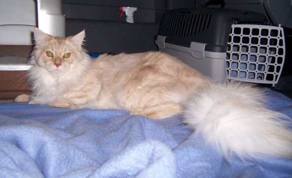 Julius mit 8,5 Monaten / eight and a half months old