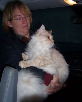 Julius mit 8,5 Monaten / eight and a half months old