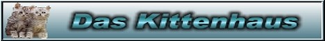 Banner Kittenhaus