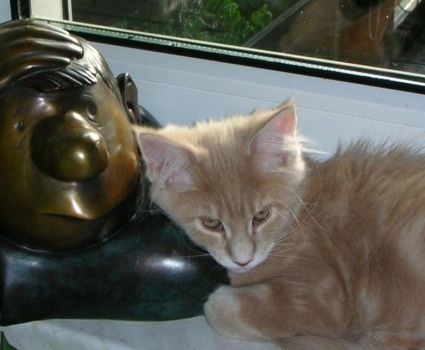 Linus mit 3,5 Monaten / three and a half months old