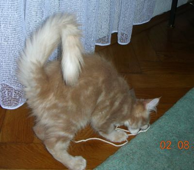 Linus mit 3,5  Monaten / three and a half months old