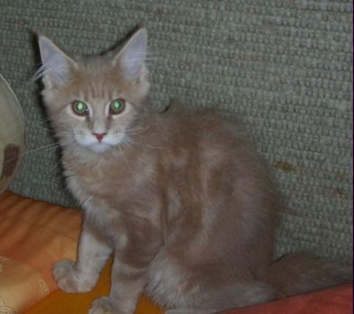 Linus mit 3,5  Monaten / three and a half months old