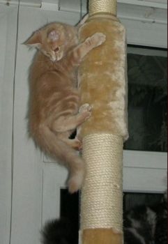 Linus mit 3,5  Monaten / three and a half months old