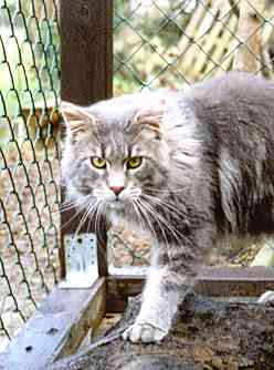 Krmel mit 1 Jahr und 2 Monaten