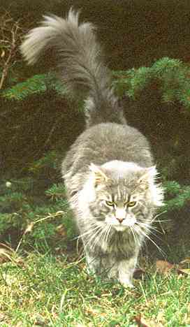 Krmel mit 1 Jahr und 3 Monaten