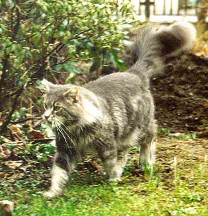 Krmel mit 1 Jahr und 3 Monaten