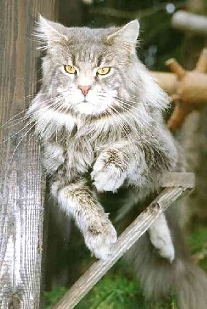 Krmel mit 1 Jahr und 5 Monaten