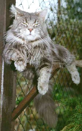 Krmel mit 1 Jahr und 5 Monaten