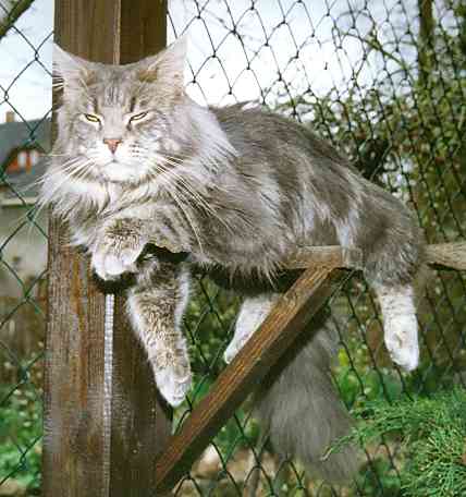 Krmel mit 1 Jahr und 5 Monaten