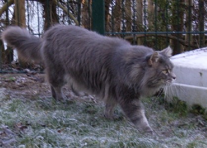 Krümel mit fünf Jahren / five years old