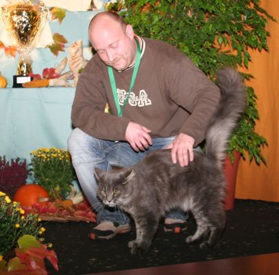 Cyril in Limbach-Oberfrohna