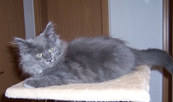 Naomi mit dreizehn Wochen / thirtheen weeks old