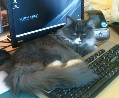 Nintendo mit fünf Monaten / five months old