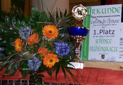 Cyril in Großstöbnitz