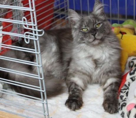 Rasputin in Paaren/Glien