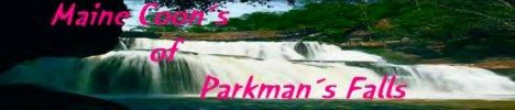 Banner Parkman's Falls