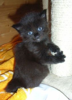 Pünktchen mit fast 4 Wochen / almost 4 weeks