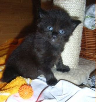 Pünktchen mit fast 4 Wochen / almost 4 weeks