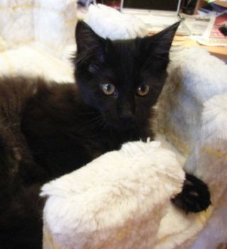 Pünktchen mit 4 Monaten/ 4 months