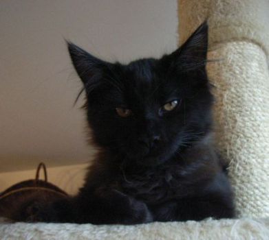 Pünktchen mit 4 Monaten/ 4 months