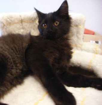 Pünktchen mit 4 Monaten/ 4 months