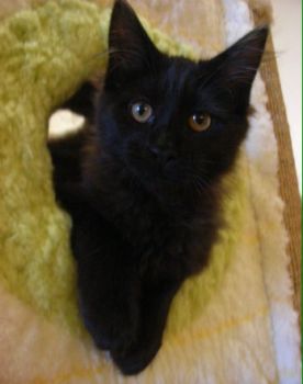 Pünktchen mit 4 Monaten/ 4 months