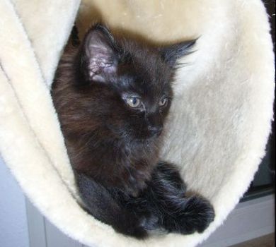 Pünktchen mit 9 Wochen/ 9 weeks