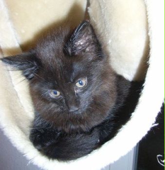 Pünktchen mit 9 Wochen/ 9 weeks