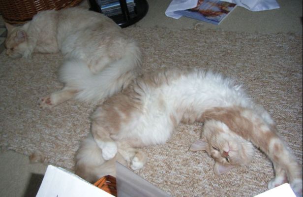 Queen mit ihrem Vater Julius