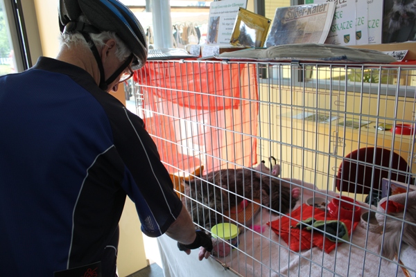 Ellernaue in Mülsen