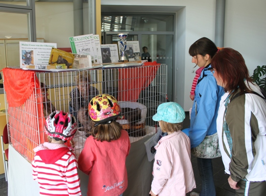 Ellernaue in Mülsen