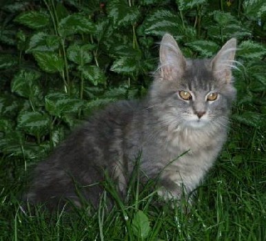 Silvester mit fünf Monaten / five months old