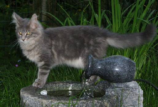 Silvester mit fünf Monaten / five months old