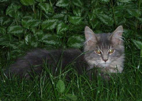 Silvester mit fünf Monaten / five months old